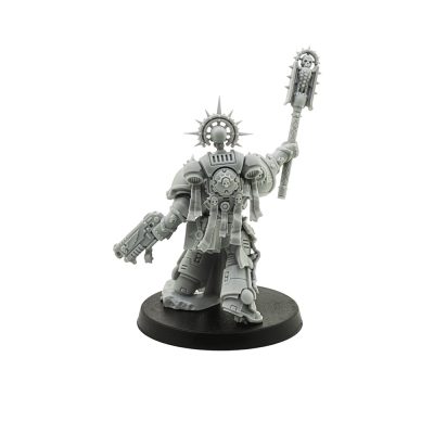 Primaris Chaplain (Indomitus)