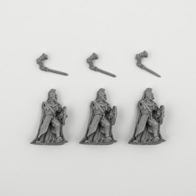 Rohan Royal Guard with Sword x3 2006