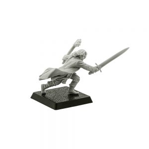 Aragorn (The Lord of the Rings™: Attack at Weathertop)