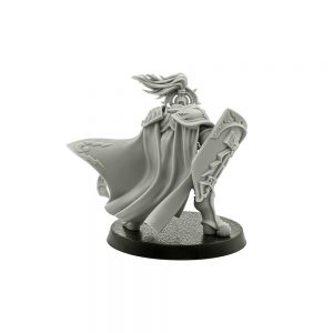 Stormcast Eternal Knight-Questor