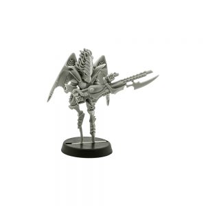 Dark Eldar Scourges x2 2000