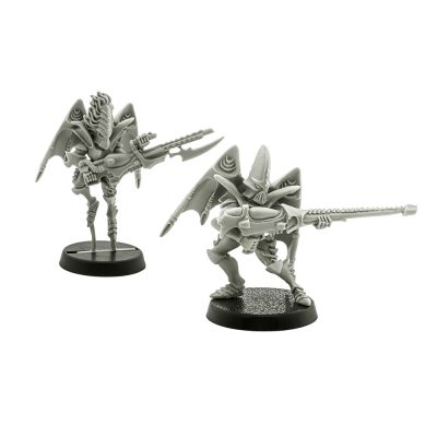Dark Eldar Scourges x2 2000