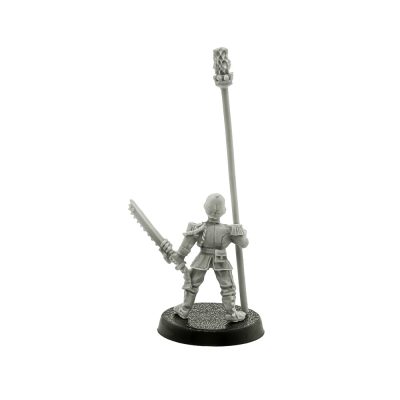 Praetorian Standart Bearer
