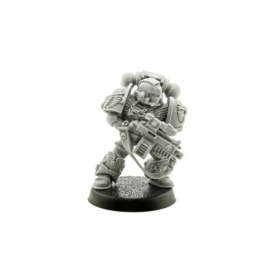 Space Marines Sternguard Veteran with Boltgun #2 2009