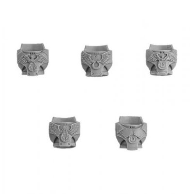 Ultramarines Invictarii Torsos