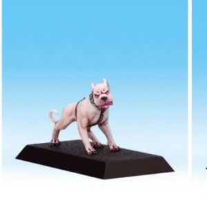 Cadwe Militia Doghandler and Molossers