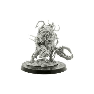 Zodgrodd Wartsnagga