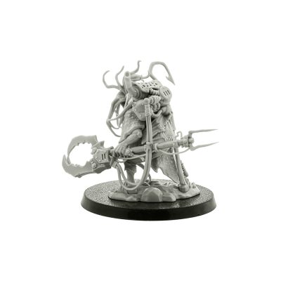 Zodgrodd Wartsnagga